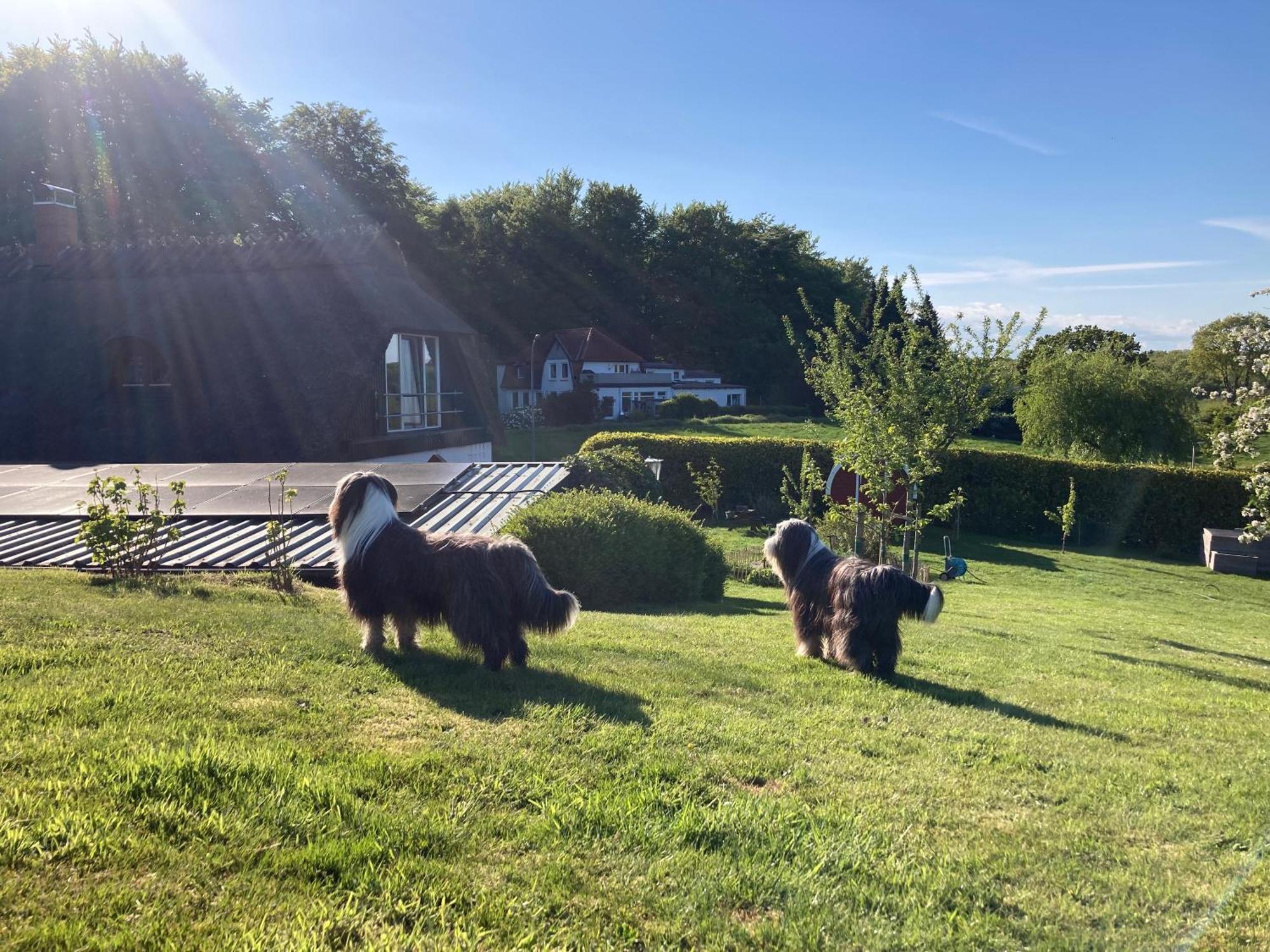 Ferienwohnung Piesch Glucksburg Bagian luar foto